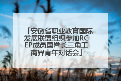 安徽省职业教育国际发展联盟组织参加RCEP成员国暨长三角工商界青年对话会