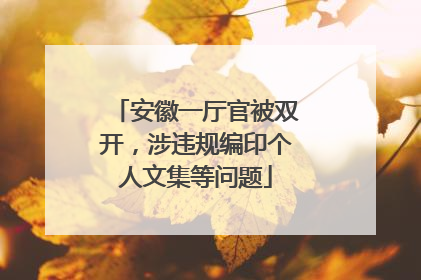 安徽一厅官被双开，涉违规编印个人文集等问题