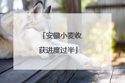 安徽小麦收获进度过半