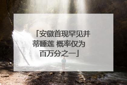安徽首现罕见并蒂睡莲 概率仅为百万分之一