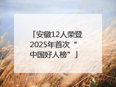 安徽12人荣登2025年首次“中国好人榜”
