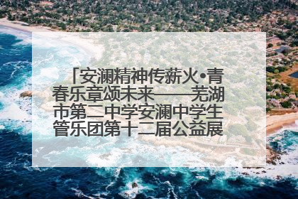 安澜精神传薪火•青春乐章颂未来——芜湖市第二中学安澜中学生管乐团第十二届公益展演圆满举行