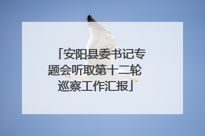 安阳县委书记专题会听取第十二轮巡察工作汇报