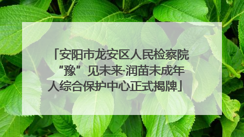 安阳市龙安区人民检察院“豫”见未来·润苗未成年人综合保护中心正式揭牌