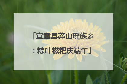 宜章县莽山瑶族乡：粽叶糍粑庆端午
