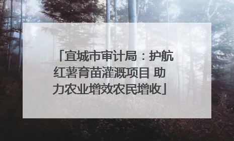 宜城市审计局：护航红薯育苗灌溉项目 助力农业增效农民增收