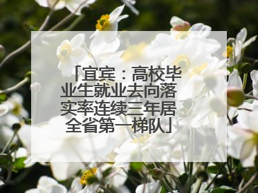 宜宾：高校毕业生就业去向落实率连续三年居全省第一梯队