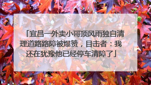 宜昌一外卖小哥顶风雨独自清理道路路障被爆赞，目击者：我还在犹豫他已经停车清障了