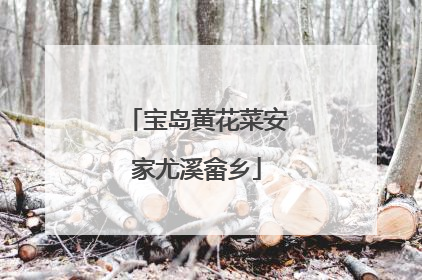 宝岛黄花菜安家尤溪畲乡
