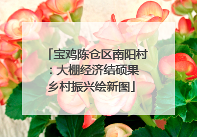 宝鸡陈仓区南阳村：大棚经济结硕果 乡村振兴绘新图