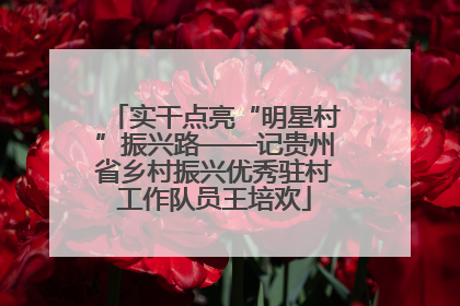 实干点亮“明星村”振兴路——记贵州省乡村振兴优秀驻村工作队员王培欢