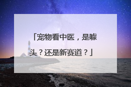 宠物看中医，是噱头？还是新赛道？