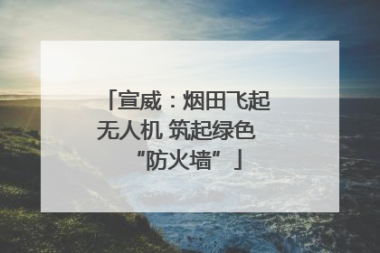 宣威：烟田飞起无人机 筑起绿色“防火墙”