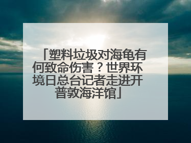 塑料垃圾对海龟有何致命伤害？世界环境日总台记者走进开普敦海洋馆