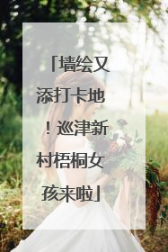 墙绘又添打卡地！巡津新村梧桐女孩来啦