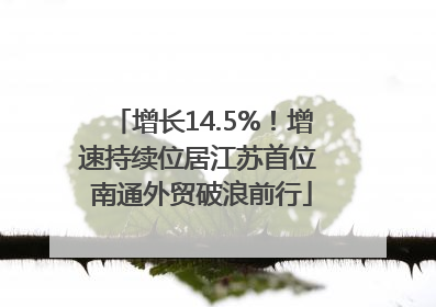 增长14.5%！增速持续位居江苏首位 南通外贸破浪前行