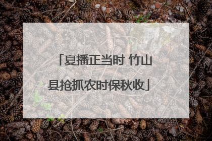 夏播正当时 竹山县抢抓农时保秋收