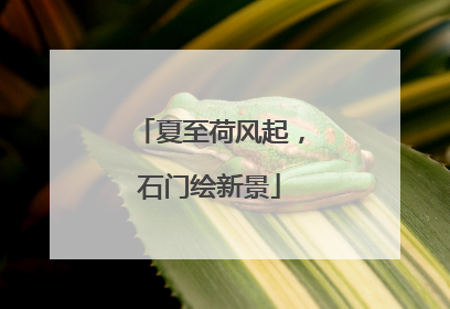 夏至荷风起，石门绘新景