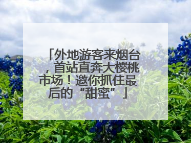 外地游客来烟台，首站直奔大樱桃市场！邀你抓住最后的“甜蜜”