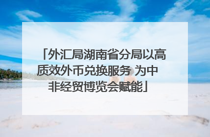 外汇局湖南省分局以高质效外币兑换服务 为中非经贸博览会赋能