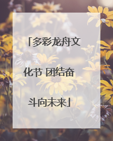 多彩龙舟文化节 团结奋斗向未来