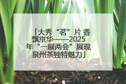 大秀“茗”片 香飘京华——2025年“一展两会”展现泉州茶独特魅力