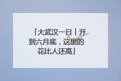 大武汉一日︱开到六月底，这里的花比人还高