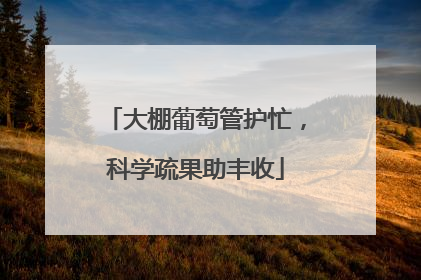 大棚葡萄管护忙，科学疏果助丰收