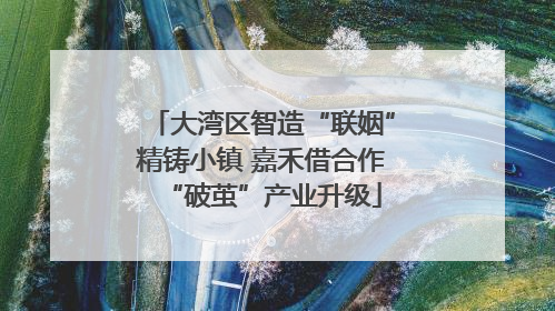 大湾区智造“联姻”精铸小镇 嘉禾借合作“破茧”产业升级