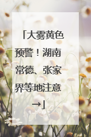 大雾黄色预警！湖南常德、张家界等地注意→