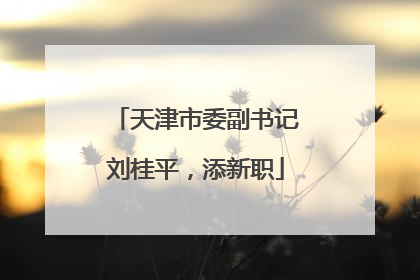 天津市委副书记刘桂平，添新职