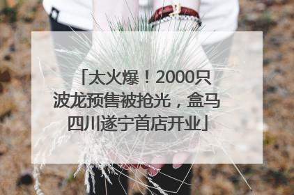 太火爆！2000只波龙预售被抢光，盒马四川遂宁首店开业