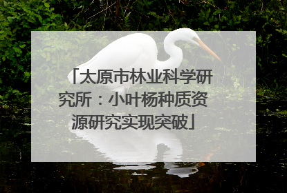 太原市林业科学研究所：小叶杨种质资源研究实现突破