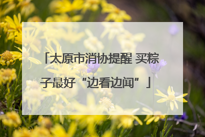 太原市消协提醒 买粽子最好“边看边闻”