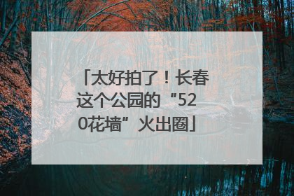 太好拍了！长春这个公园的“520花墙”火出圈