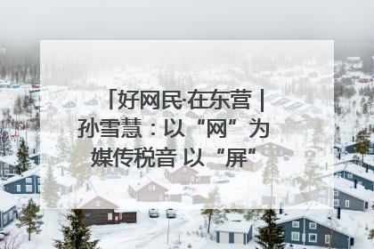 好网民·在东营｜孙雪慧：以“网”为媒传税音 以“屏”为介助发展