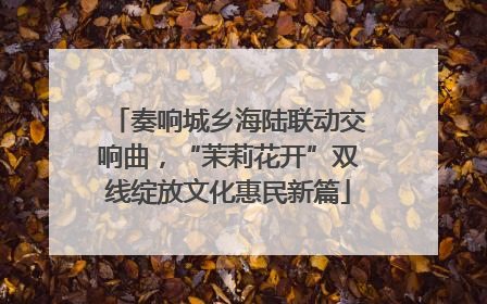 奏响城乡海陆联动交响曲，“茉莉花开”双线绽放文化惠民新篇