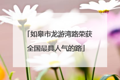 如皋市龙游湾路荣获全国最具人气的路