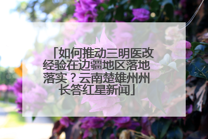 如何推动三明医改经验在边疆地区落地落实？云南楚雄州州长答红星新闻