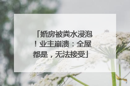 婚房被粪水浸泡！业主崩溃：全屋都是，无法接受
