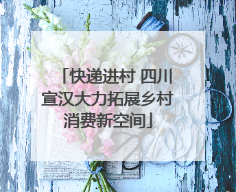 快递进村 四川宣汉大力拓展乡村消费新空间