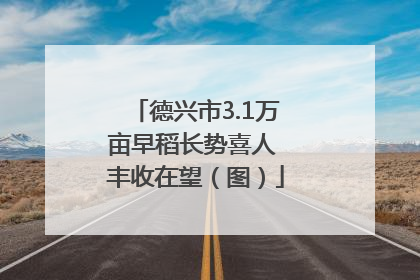 德兴市3.1万亩早稻长势喜人 丰收在望（图）