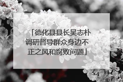 德化县县长吴志朴调研督导群众身边不正之风和腐败问题
