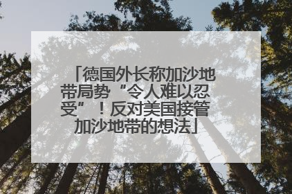 德国外长称加沙地带局势“令人难以忍受”！反对美国接管加沙地带的想法