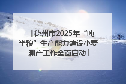 德州市2025年“吨半粮”生产能力建设小麦测产工作全面启动