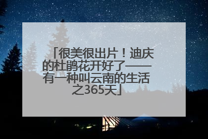 很美很出片！迪庆的杜鹃花开好了——有一种叫云南的生活之365天