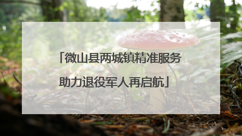 微山县两城镇精准服务助力退役军人再启航