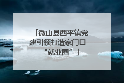 微山县西平镇党建引领打造家门口“就业圈”