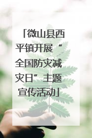 微山县西平镇开展“全国防灾减灾日”主题宣传活动