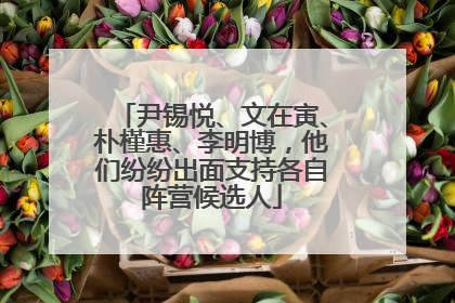 尹锡悦、文在寅、朴槿惠、李明博，他们纷纷出面支持各自阵营候选人